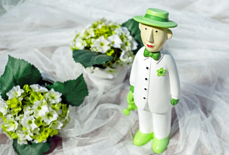 vitrine-CUEBRIS-min_man-person-flower-green-toy-fig-546529-pxhere.com